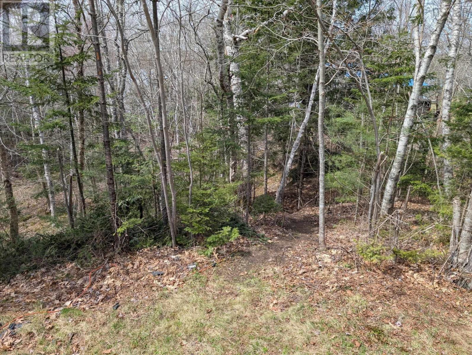 94 Welsh Road, Eight Island Lake, Nova Scotia  B0H 1M0 - Photo 12 - 202508401
