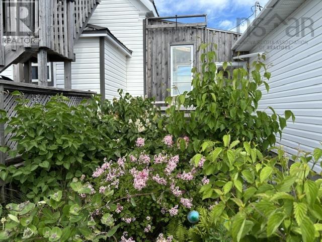 8667 Hwy 19, Port Hood, Nova Scotia  B0E 2W0 - Photo 37 - 202609455