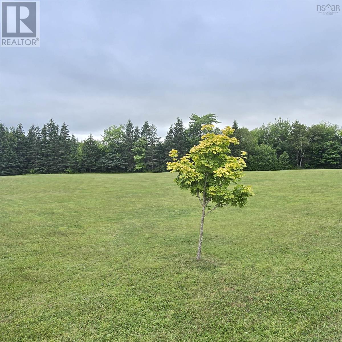 263 Old Pinevale Road, Pinevale, Nova Scotia  B2G 2L3 - Photo 4 - 202618873